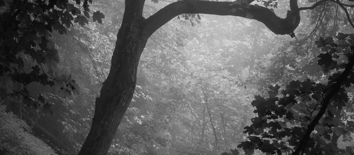 U.N. Leader Calls Failure to Fight Climate Change a ‘Death Sentence’