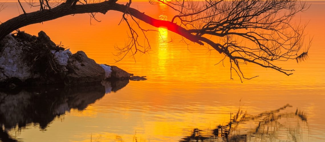 Farhana Yamin’s Journey From Climate Summits to Street Protests