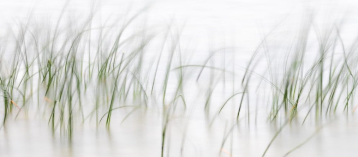9 surprising sources where microplastics can be found 9 surprising sources where microplastics can be found