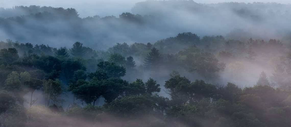 Ultimate eco-friendly gifts to buy for your parents