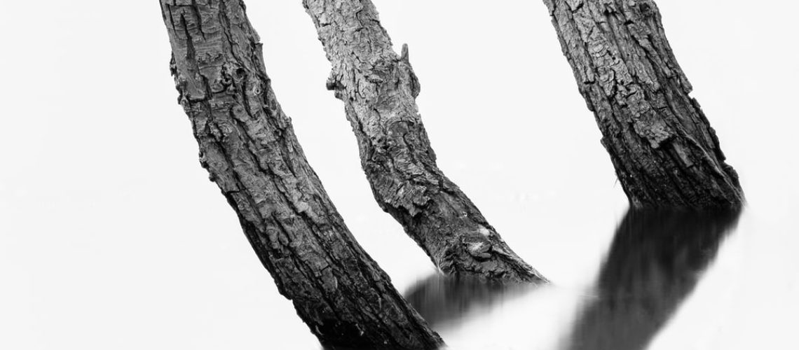 Closed landfills could have new life as solar energy sources