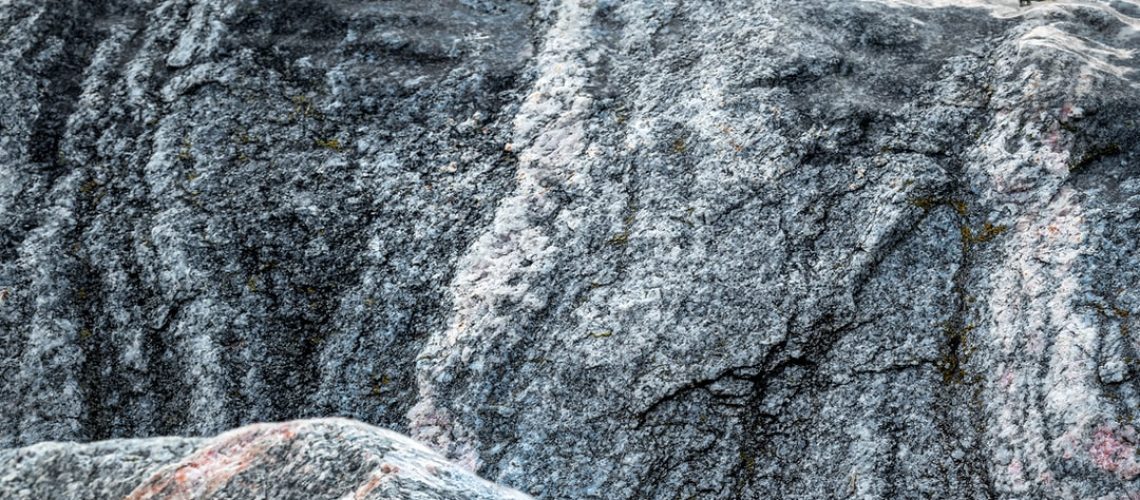 Climate change is driving a massive decrease in insects