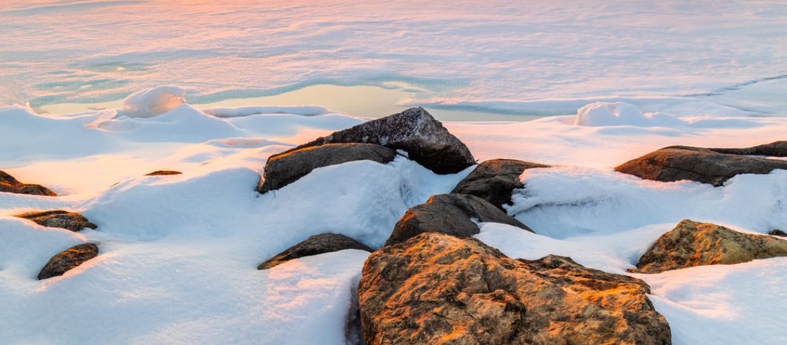 David Attenborough Urges Leaders at COP26 Summit to ‘Rewrite Our Story’