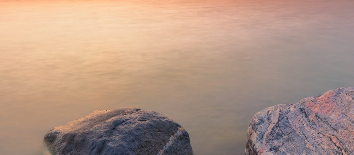 Climate Denial, Covid Denial and the Right’s Descent