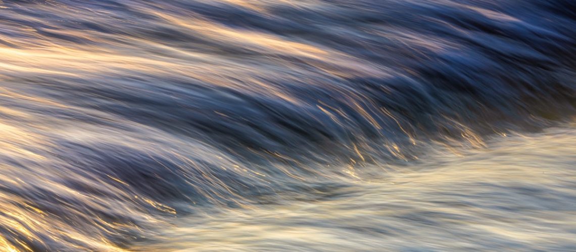 Scientists discover how to stop banana peels from browning