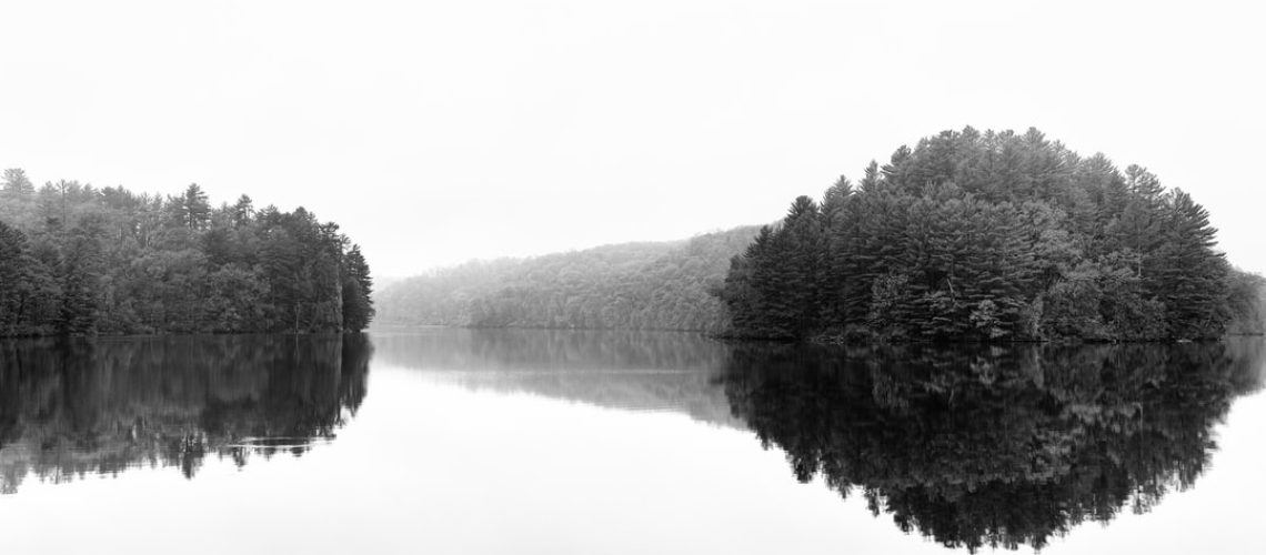 110 countries pledge to end deforestation by 2030