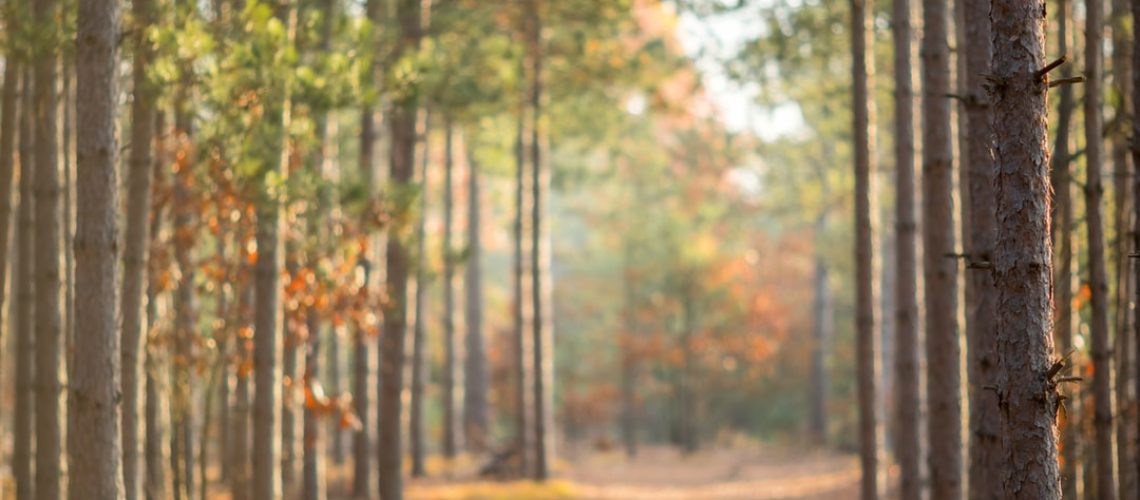 Climate Groups Use Endangered Species Act to Try to Stop Drilling